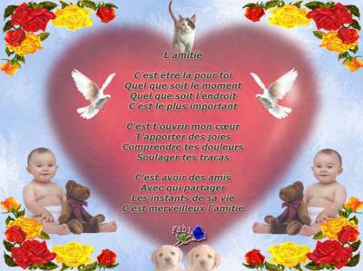 amies amis